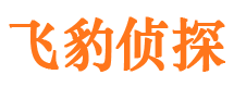 灵寿找人公司